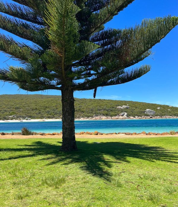 WhatsApp Image 2025-01-21 at 13.18.08 (11)